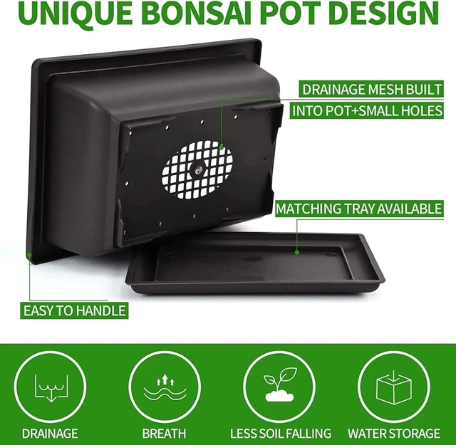 Alt view image 6 of 7 - Idealforce Complete Bonsai Tree Starter Kit, Includes 5 Varieties of Tree Seeds and Plant Growing Tools, Indoor DIY Potted Gardening Set, Perfect Planting Gift for Beginners and Home Garden Lovers