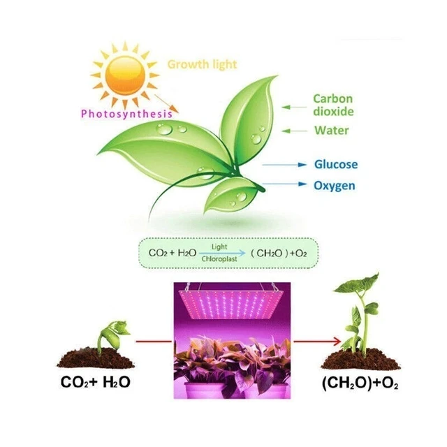 Alt view image 6 of 7 - Idealforce 2Heads LED Grow Light Full Spectrum Plant Growing Lamp for Indoor House Plants Hydroponics US Plug