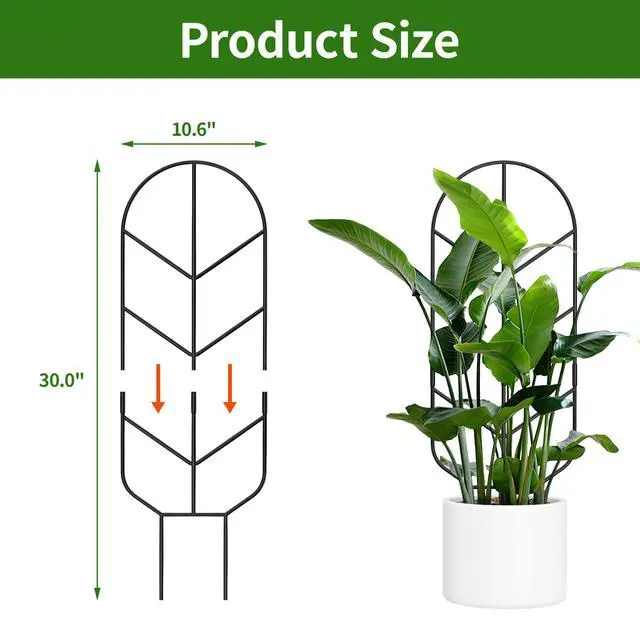 Alt view image 4 of 7 - 1 Pack 30'' Large Metal Plant Trellis for Climbing Plants, Tall Plant Support for Indoor & Outdoor Use, Modern Decorative Trellis for Potted Plants