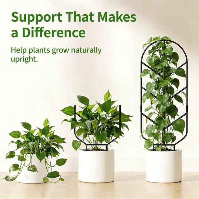 Alt view image 7 of 7 - 1 Pack 30'' Large Metal Plant Trellis for Climbing Plants, Tall Plant Support for Indoor & Outdoor Use, Modern Decorative Trellis for Potted Plants