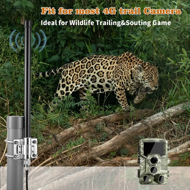 Alt view image 4 of 5 - 10dBi Outdoor 4G LTE Long Range Cellular Trail Camera Antenna with 16.4ft Cable for Spypoint LM2 Flex Link Micro Link EVO Stealth Cam Tactacam Reveal X PRO Gen Series Muddy Reolink Trail Camera