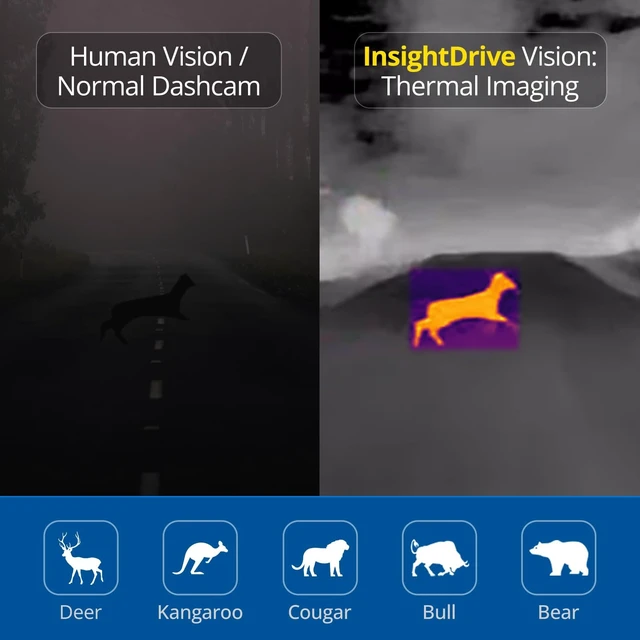 Alt view image 5 of 5 - Robofinity InsightDrive Thermal Camera for Car, IR Night Vision Dashcam