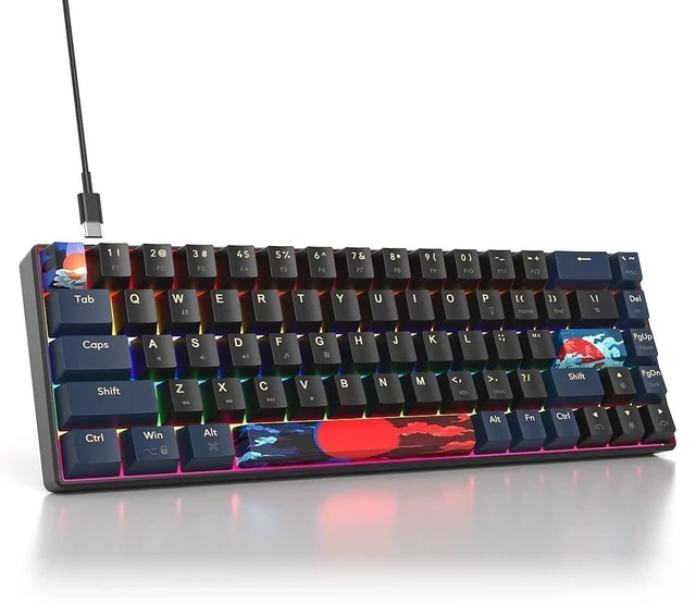 Main image of iRoboosta Portable 60% Mechanical Gaming Keyboard Black/Blue, Rainbow Backlit Wired Key Board with Red Switch, Compact 68 Keys Mini Office Keyboards for Laptop PC (68 Blue Warrior B/Red Switch)