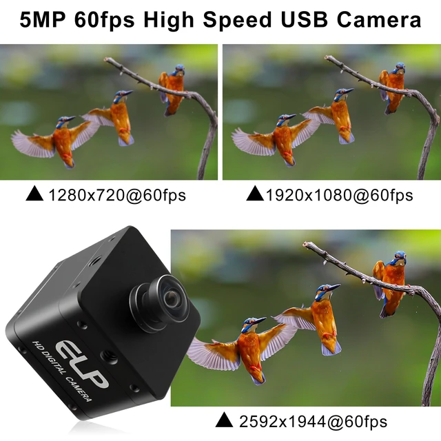 Alt view image 4 of 5 - QILOVE 5MP Global Shutter USB Camera, High Speed 60fps Webcam for Laptop