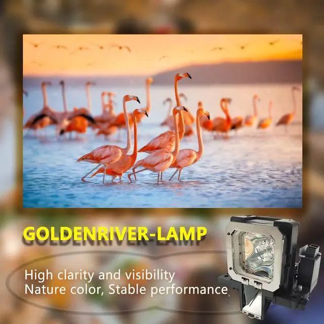 Alt view image 3 of 5 - GOLDENRIVER PK-L2312U Premium Quality Replacement Projector Lamp with Housing Compatible with JVC DLA-RS46U DLA-RS48U DLA-RS56U DLA-RS66U3D DLA-X35 DLA-X55R DLA-X75R DLA-X95R