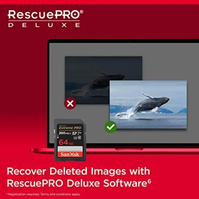 Alt view image 6 of 7 - 64GB Extreme PRO SDXC UHS-I Memory Card - C10, U3, V30, 4K UHD, SD Card - SDSDXXU-064G-GN4IN