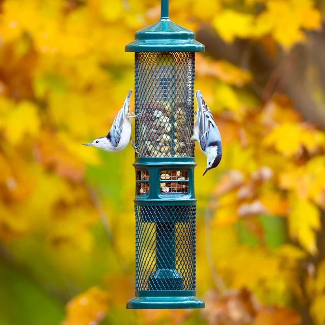 Alt view image 2 of 7 - Squirrel Buster Nut Truly Squirrel-Proof Bird Feeder | For Shelled Peanuts, Suet Nuggets, Striped Sunflower & Dried Fruit, 1.3lb Capacity with 2 Interchangeable Meshes