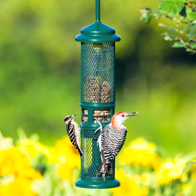 Alt view image 4 of 7 - Squirrel Buster Nut Truly Squirrel-Proof Bird Feeder | For Shelled Peanuts, Suet Nuggets, Striped Sunflower & Dried Fruit, 1.3lb Capacity with 2 Interchangeable Meshes