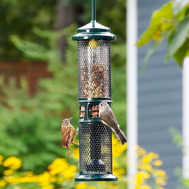 Alt view image 5 of 7 - Squirrel Buster Nut Truly Squirrel-Proof Bird Feeder | For Shelled Peanuts, Suet Nuggets, Striped Sunflower & Dried Fruit, 1.3lb Capacity with 2 Interchangeable Meshes
