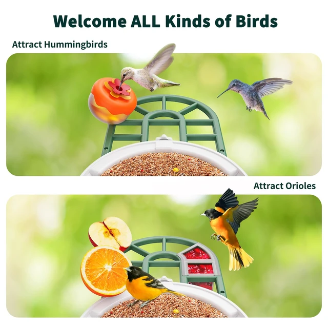 Alt view image 4 of 7 - Smart Bird Feeder with Camera - AI Identify Birds Species, Solar Powered Bird House with Cam, 2L Large Capacity, 2K HD Video Live Stream, Instant Arrival Alerts - Green