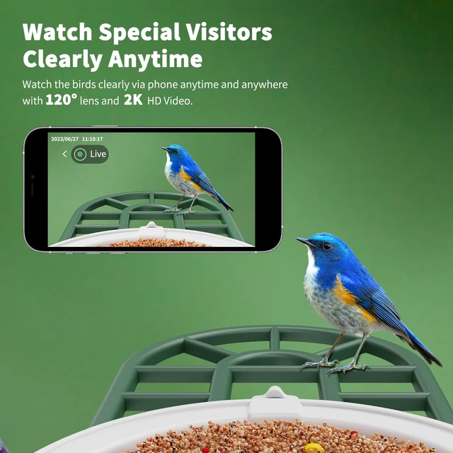 Alt view image 6 of 7 - Smart Bird Feeder with Camera - AI Identify Birds Species, Solar Powered Bird House with Cam, 2L Large Capacity, 2K HD Video Live Stream, Instant Arrival Alerts - Green