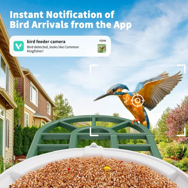 Alt view image 7 of 7 - Smart Bird Feeder with Camera - AI Identify Birds Species, Solar Powered Bird House with Cam, 2L Large Capacity, 2K HD Video Live Stream, Instant Arrival Alerts - Green