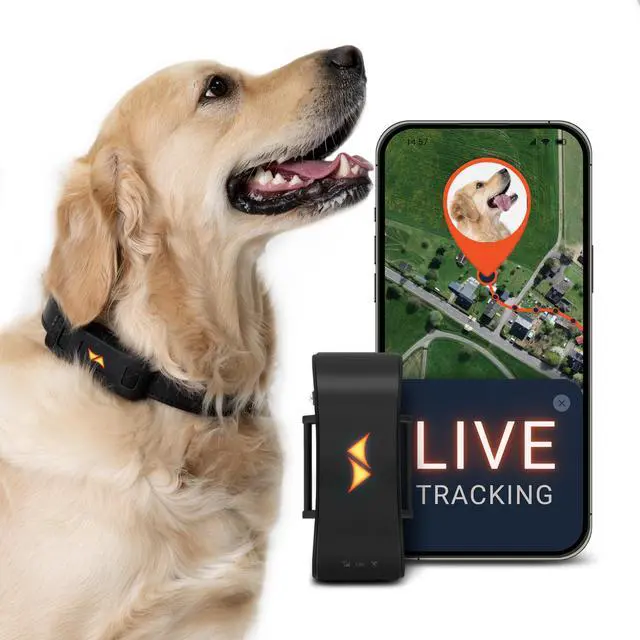 Main image of PAJ GPS Dog Tracker - 4G Real-Time Tracking & Runaway Alerts - Waterproof, Long-Range, Smart App Monitor Health & Activity - Fits Any Collar, Mini Device Navigator Chip - Subscription Required - Black