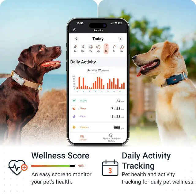 Alt view image 4 of 7 - PAJ GPS Dog Tracker - 4G Real-Time Tracking & Runaway Alerts - Waterproof, Long-Range, Smart App Monitor Health & Activity - Fits Any Collar, Mini Device Navigator Chip - Subscription Required - Black