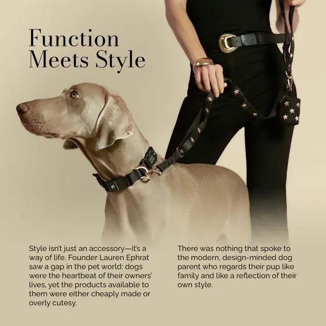 Alt view image 5 of 6 - DOGISTRY The Fi Rockstar Collar - Crafted for Fi Series 3/3+ - Luxury Design Meets Smart Tech - Large