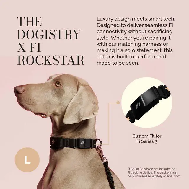 Alt view image 2 of 6 - DOGISTRY The Fi Rockstar Collar - Crafted for Fi Series 3/3+ - Luxury Design Meets Smart Tech - Large