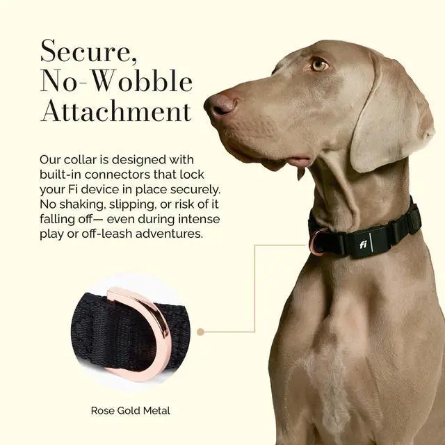 Alt view image 4 of 6 - DOGISTRY The Fi Rockstar Collar - Crafted for Fi Series 3/3+ - Luxury Design Meets Smart Tech - Large