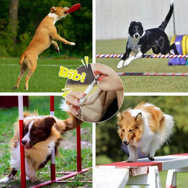 Alt view image 6 of 7 - HRYYDS 2026 Dog Whistle