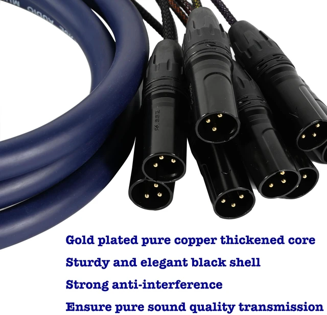 Alt view image 2 of 5 - DEANFINN 6.56ft/2m DB25 Male to XLR Male Snake, 8 Channel 3 Pin XLR Snake Cable with db25 Connector for Microphones, Mixing Consoles, Amplifiers, and Speakers