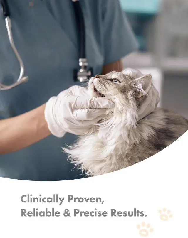 Alt view image 3 of 7 - eBmonitor eBpet Blood Glucose Monitor System - Dogs and Cats Glucose Monitoring Kit 25 Blood Glucose Test Strips Lancing Device, Battery, 26 Gauge Sterile Lancets,