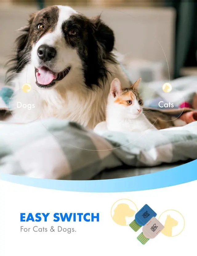 Alt view image 7 of 7 - eBmonitor eBpet Blood Glucose Monitor System - Dogs and Cats Glucose Monitoring Kit 25 Blood Glucose Test Strips Lancing Device, Battery, 26 Gauge Sterile Lancets,