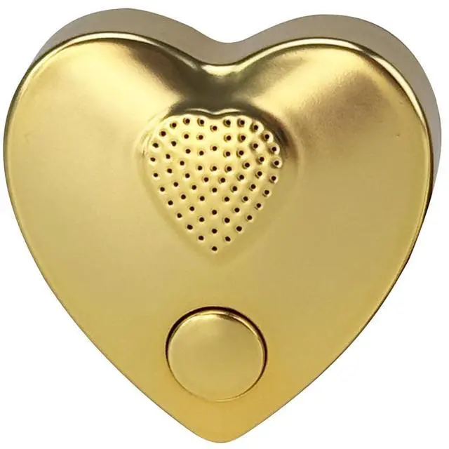 Main image of 16min Voice Recorder, USB Downloadable Sound Recorder Chips Module for Stuffed Animals, Mother's Day Valentine's Day Christmas Plush Toy,Manual DIY Creative Sound Presents for Boys, Girls (Gold)