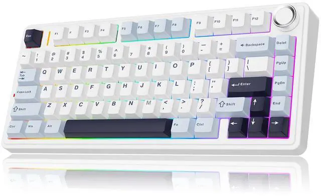 Main image of Aula F75 PRO 75% Wireless Gaming Keyboard, Gasket Mechanical Custom Keyboard with Five-Layer Padding, BT/2.4GHz/USB-C, Hot Swappable, Knob, RGB, Reaper Switches (White Blue)