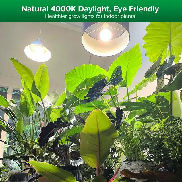 Alt view image 2 of 7 - Grow Lights for Indoor Plants, Full Spectrum 15W Grow Light Bulbs (200 Watt Equivalent) with Optical Lens for High PPFD, 4000K Natural Daylight LED Plant Lights for Indoor Growing Seed Starting