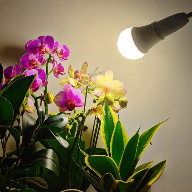 Alt view image 2 of 7 - LED Grow Light Bulb A19 - Full Spectrum E26 Base, 11W (100W Equivalent) for Indoor Plants, Flowers, Greenhouse - 2 Pack