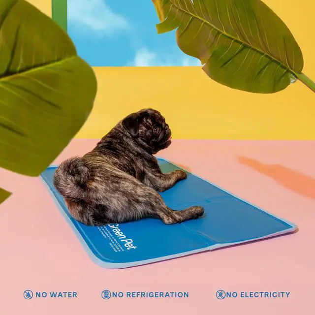 Alt view image 3 of 4 - Cool Pet Pad - Large, Blue - Self-Cooling, Pressure Activated Mat for Dogs & Cats from 46-80 lbs - Non-Toxic Gel, No Water Needed