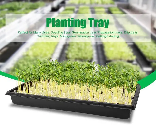 Alt view image 5 of 7 - RooTrimmer 20 Pack 1020 Trays, No Drain Holes, 20" x 10", Extra Thick Heavy Duty Seed Starting Trays -Reusable Propagation Flats for Microgreens, Seedlings, Plant Germination, Fodder and Transplant