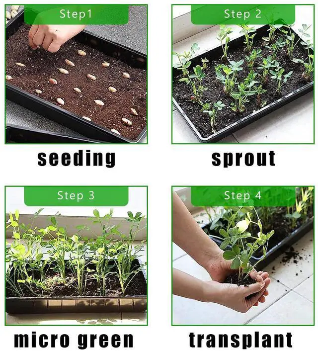 Alt view image 7 of 7 - RooTrimmer 20 Pack 1020 Trays, No Drain Holes, 20" x 10", Extra Thick Heavy Duty Seed Starting Trays -Reusable Propagation Flats for Microgreens, Seedlings, Plant Germination, Fodder and Transplant