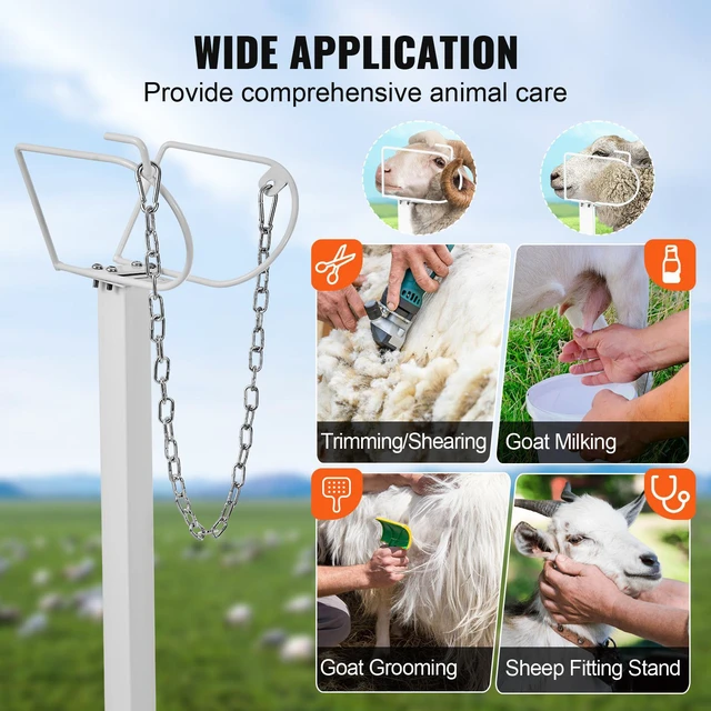 Alt view image 7 of 7 - Goat & Sheep Stand, 51x23 inch Livestock Stand, Metal Livestock Milking and Shearing Stand 21" to 33" Adjustable Height, with Headpiece and Nose Loop, 500lbs Loading Weight, White