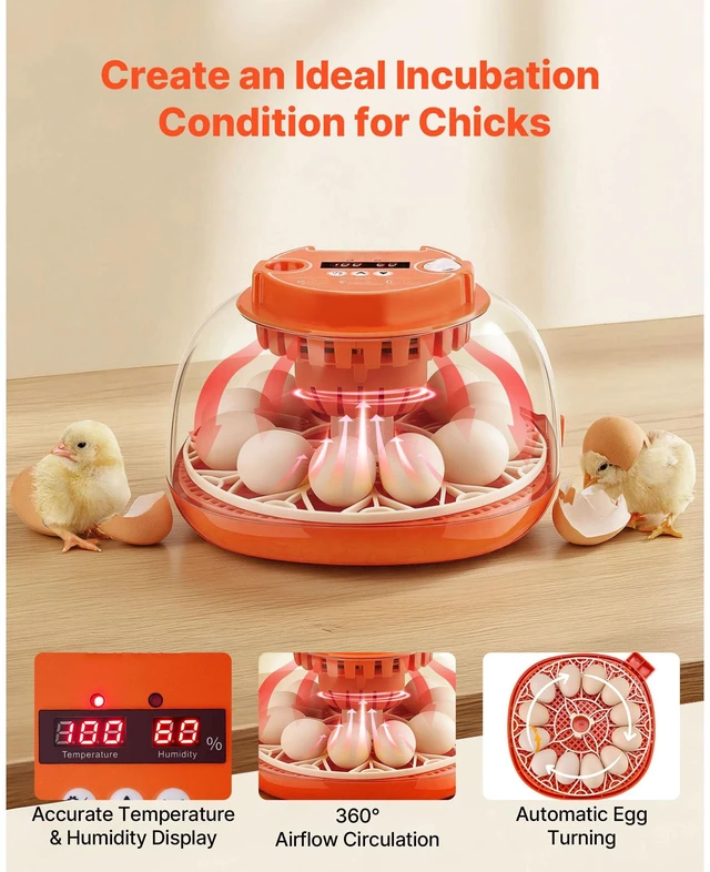 Alt view image 2 of 7 - 12 Egg Incubator, Automatic Egg Turner with LED Candler, Temperature & Humidity Control, 360° View Clear Window, Poultry Eggs Incubator for Home Farm, Hatching Chicks Ducks Goose Quail
