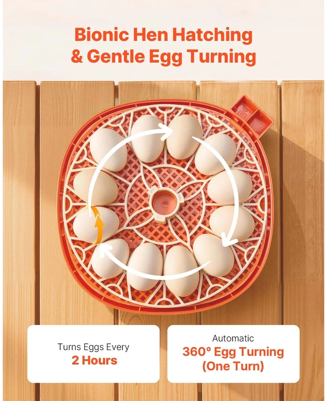 Alt view image 4 of 7 - 12 Egg Incubator, Automatic Egg Turner with LED Candler, Temperature & Humidity Control, 360° View Clear Window, Poultry Eggs Incubator for Home Farm, Hatching Chicks Ducks Goose Quail