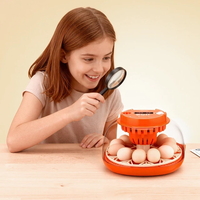 Alt view image 7 of 7 - 12 Egg Incubator, Automatic Egg Turner with LED Candler, Temperature & Humidity Control, 360° View Clear Window, Poultry Eggs Incubator for Home Farm, Hatching Chicks Ducks Goose Quail