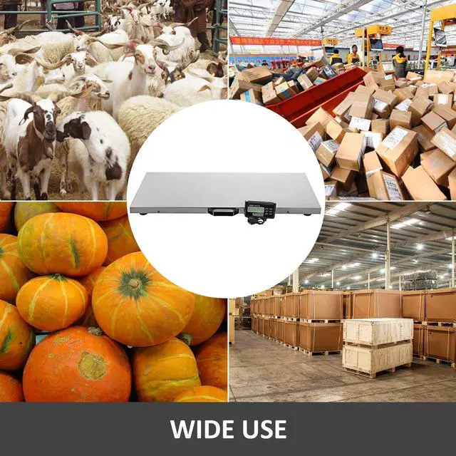 Alt view image 5 of 7 - 880Lbs x 0.2Lbs Livestock Scale Shipping Scales Large Platform 40.6x20.9Inch Stainless Steel Vet Scale Industrial Floor Scale Large Animal Dog Pig Scale Goat Weight Scale Pet Digital Scale