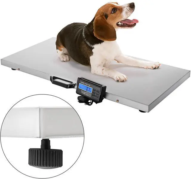 Alt view image 6 of 7 - 880Lbs x 0.2Lbs Livestock Scale Shipping Scales Large Platform 40.6x20.9Inch Stainless Steel Vet Scale Industrial Floor Scale Large Animal Dog Pig Scale Goat Weight Scale Pet Digital Scale