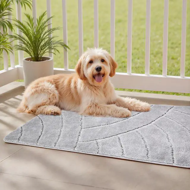 Alt view image 7 of 7 - Door Mat, 35.83 x 24.02 Inch, Front Door Mat Outside Entrance with Non-slip TPR Backing, Dirt-Resistant & Absorbent, Easy to Clean, Low-Profile Doormat for for Entryway, Patio, Porch, Grey