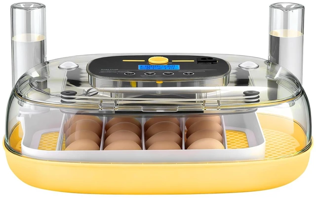 Main image of 24 Egg Incubator, Automatic Egg Turner with LED Candler, Temperature & Humidity Control, 360° View Clear Window, Auto Water Refill, Poultry Eggs Incubators for Hatching Chicks Ducks Goose Quail