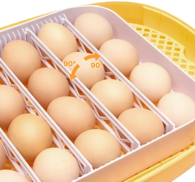 Alt view image 6 of 7 - 24 Egg Incubator, Automatic Egg Turner with LED Candler, Temperature & Humidity Control, 360° View Clear Window, Auto Water Refill, Poultry Eggs Incubators for Hatching Chicks Ducks Goose Quail