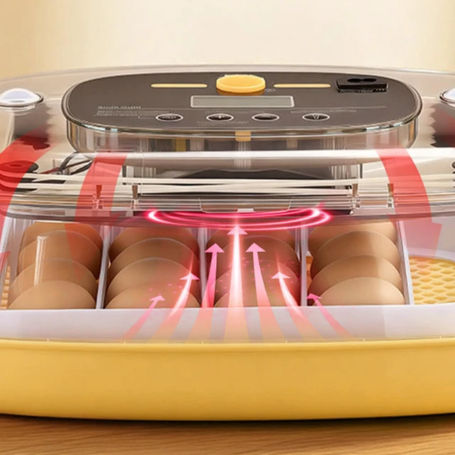 Alt view image 7 of 7 - 24 Egg Incubator, Automatic Egg Turner with LED Candler, Temperature & Humidity Control, 360° View Clear Window, Auto Water Refill, Poultry Eggs Incubators for Hatching Chicks Ducks Goose Quail