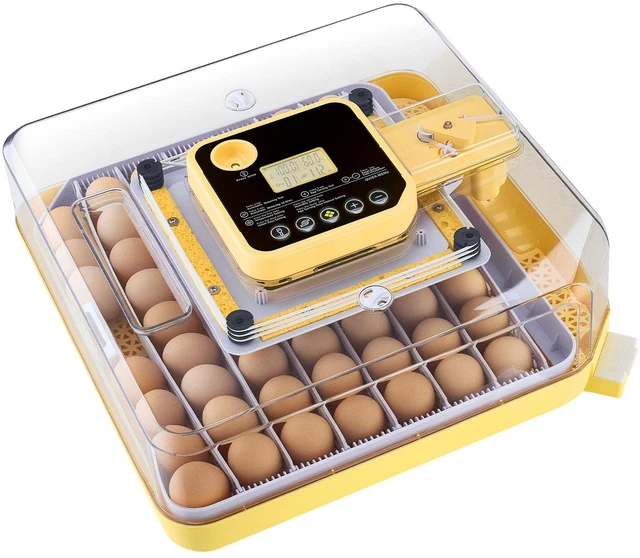Main image of 48 Egg Incubator, Automatic Egg Turner with LED Candler, Temperature Display & Auto Humidity Control, 360° View Clear Window, Poultry Eggs Incubator for Hatching Chicks Ducks Goose Quail