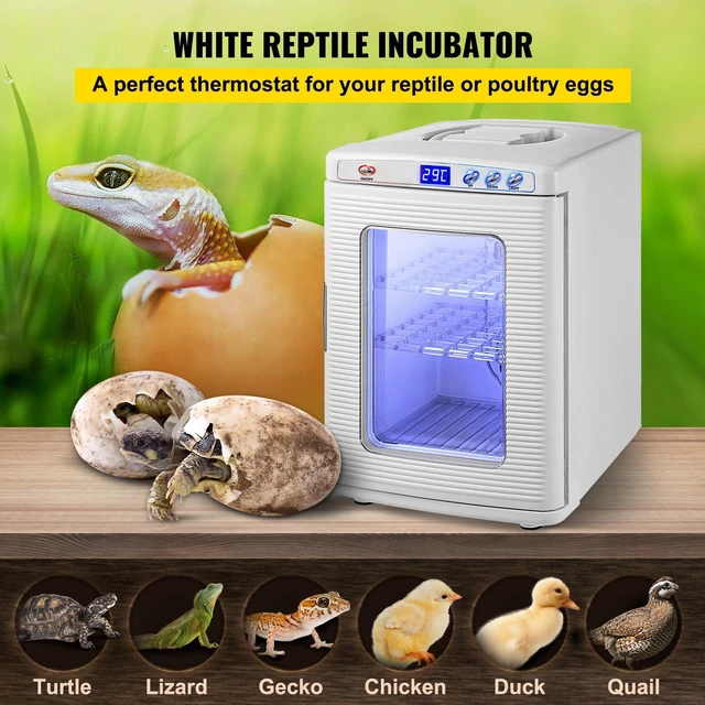 Alt view image 6 of 7 - White Reptile Incubator 25L Scientific Lab Incubator Digital Incubator Cooling and Heating 5-42°C Reptile Egg Incubator 12V/110V Work for Small Reptiles