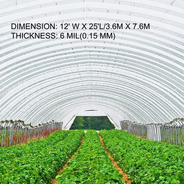 Alt view image 4 of 7 - Greenhouse Film 12 x 25 ft, Greenhouse Polyethylene Film 6 Mil Thickness, Greenhouse Clear Plastic Film UV Resistant, Polyethylene Film Keep Warming, Greenhouse Plastic Superior Toughness