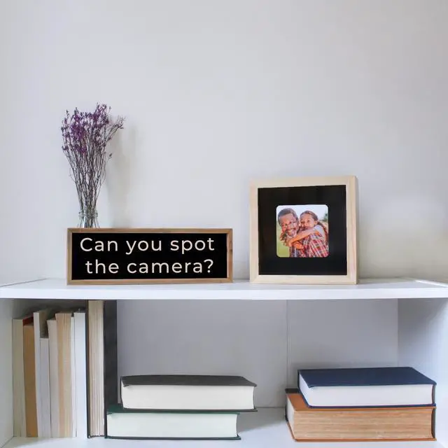 Alt view image 2 of 7 - Hide Blink Camera for Blink Mini (Black)