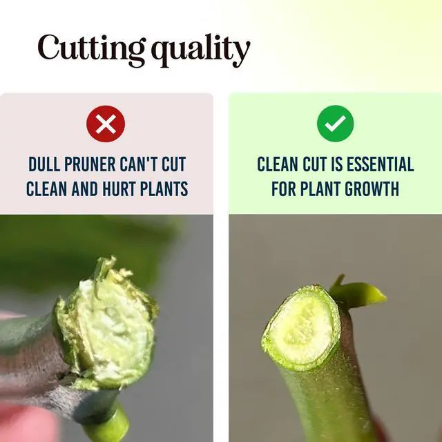 Alt view image 7 of 7 - Ultra Sharp Pruning Shears Hedge Clipper Cuts 3X Easier, Dual-Size Opening, Weak Hand Arthritis Clippers, Rust-Resistant Pruner, Effortlessly Cuts