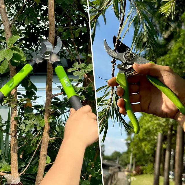 Alt view image 7 of 7 - Loppers for Tree Trimmer 15" Branch Cutter and Garden Shears Set Bypass Pruning Shears,Rust-Resistant Clipper,1.5" Diameter Cut Capacity,Shock-Absorbing Handle,Gardening Pruners for Yard,Plant,Hedge