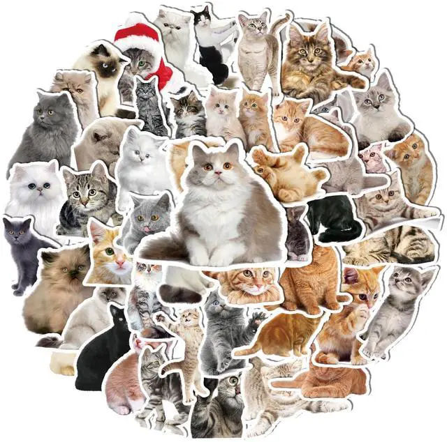 Main image of 100 Pcs Cat Stickers, Cute Meme Kitten Stickers for Water Bottles Laptop Guitar Suitcase, DIY Waterproof Vinyl Decals Gifts for Adults Teens Kids Boys Girls