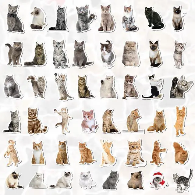 Alt view image 3 of 7 - 100 Pcs Cat Stickers, Cute Meme Kitten Stickers for Water Bottles Laptop Guitar Suitcase, DIY Waterproof Vinyl Decals Gifts for Adults Teens Kids Boys Girls